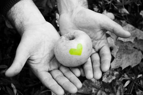 Apple in the hands of man Stock Photos