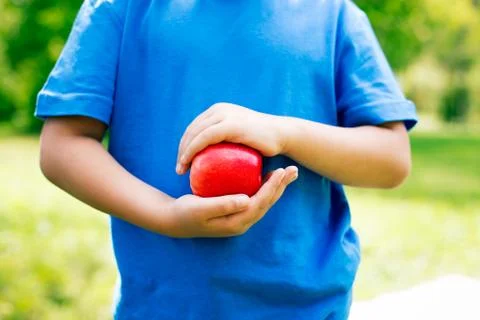 Apple in hands Stock Photos