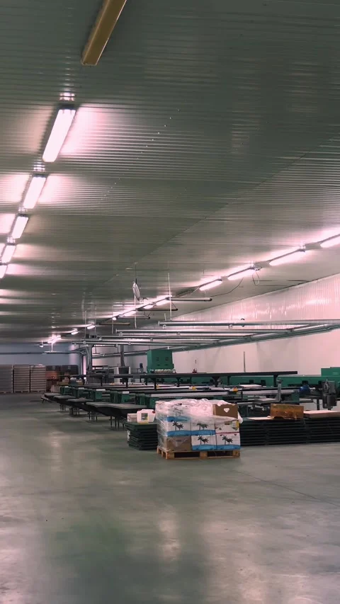 Apple harvest. empty workshop with equipment for sorting apples to sale, 库存影片 314430436