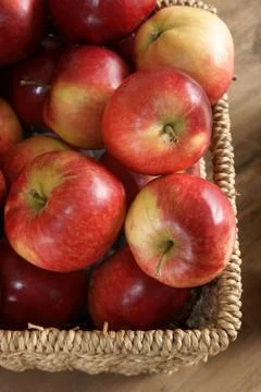Apple harvest Stock Photos