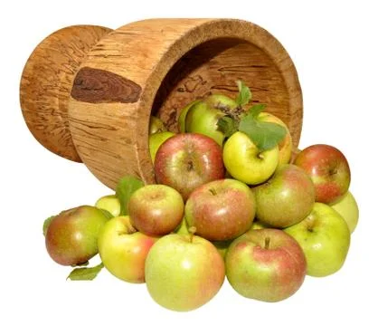 Apple Harvest Stock Photos