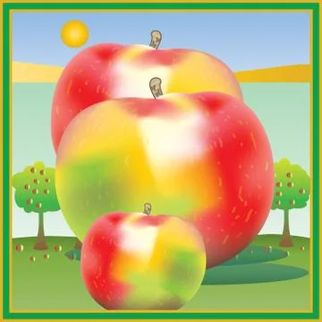 Apple harvest time Stock Illustration