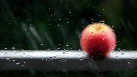 Apple in heavy rain Stock Footage 154354080