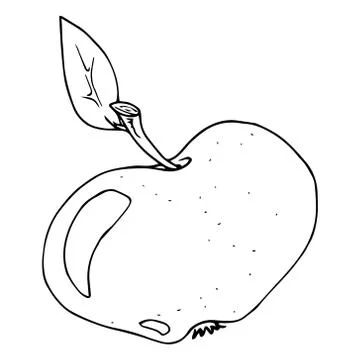 Apple icon. Hand drawn apple. Stock Illustration