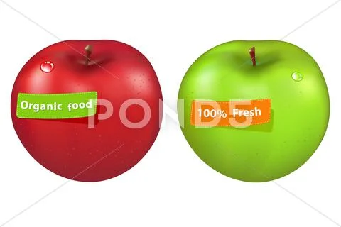 Apple Stock Illustration