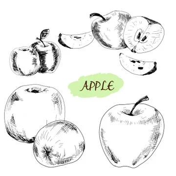 Apple. Stock Illustration