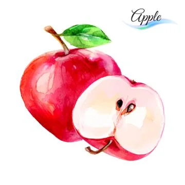 Apple Stock Illustration
