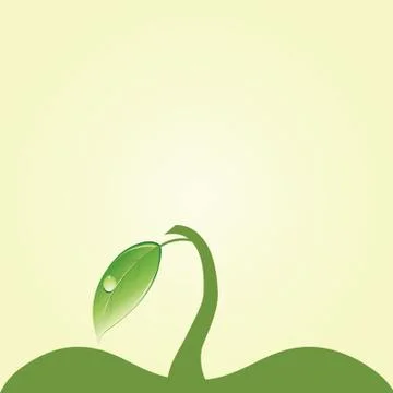 Apple Stock Illustration