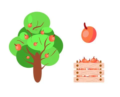 Apple Stock Illustration