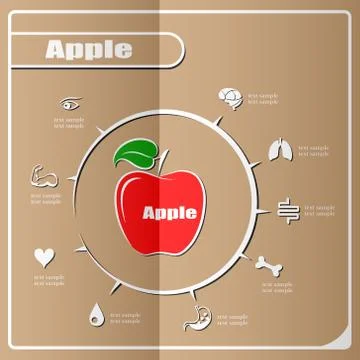 Apple Infographics, Fruit. Vector illustration. Stock Illustration