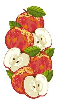 Apple isolated, Vector, composition. Stock Illustration