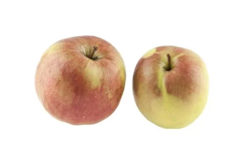 Apple isolated on white background Stock Photos