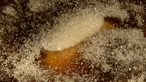 Apple jam is being prepared Vidéo 276712971