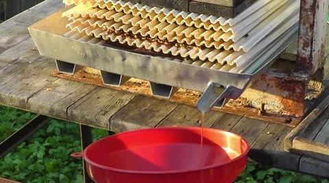 Apple Juice press Stock Footage 55262496