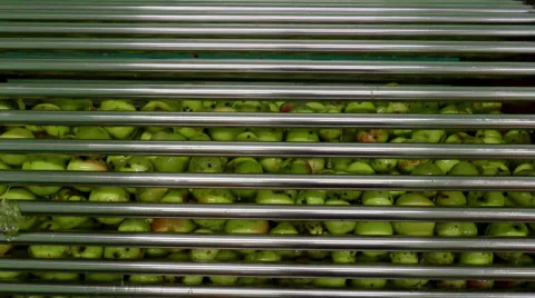 Apple juice production Stock-Footage 54706633