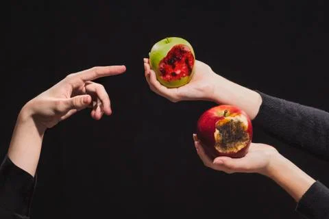 Apple knowledge of your choice: rotten or soaked in blood Foto stock
