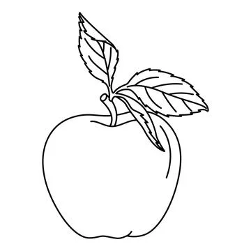 Apple with a leaf doodle style coloring book. Hand drawn fruit coloring book. Stock Illustration