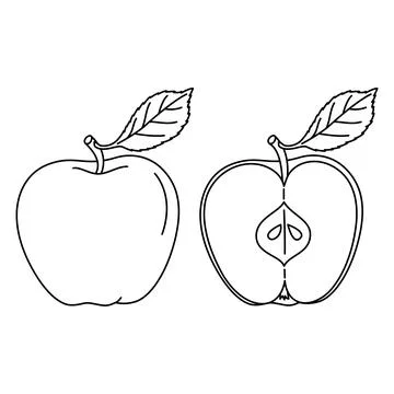 Apple with a leaf doodle style coloring book whole and half apple Hand drawn Illustrazione stock