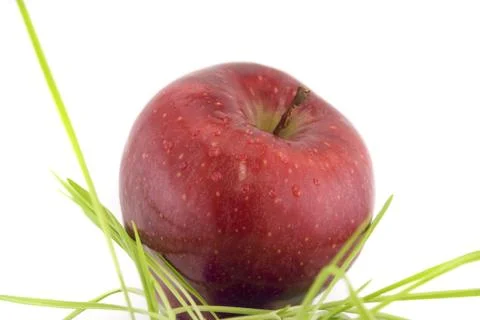 Apple with leaf isolated on white Stock Photos