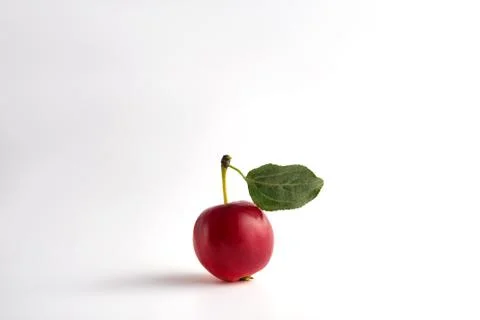 Apple on a light background Stock Photos
