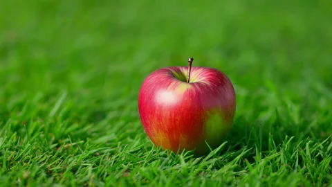 Apple lying on grass explodes and shatters into small pieces from impact of club Stock Footage 219700221