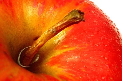 Apple macro Stock Photos
