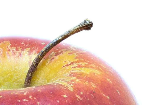 Apple Macro Stock Photos
