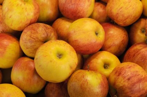 Apple on the market Stock Photos