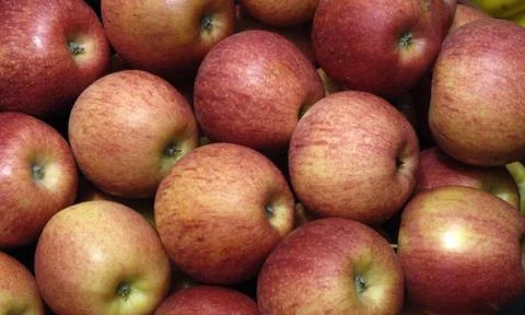 Apple on the market Stock Photos