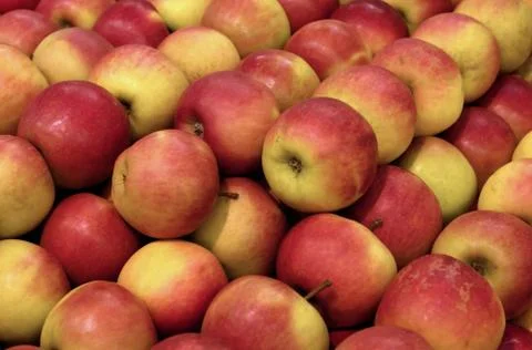 Apple on the market Stock-Fotos