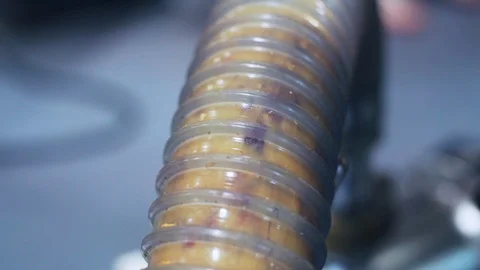Apple mash flowing down tube before grappa production Stock Footage 86706964