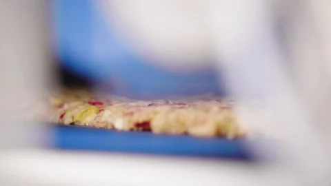 Apple mash is transported over an conveyor belt to the next processing step Stock Footage 157954624