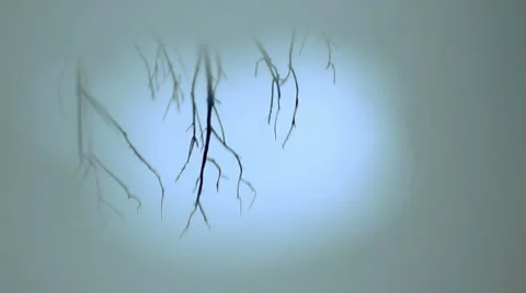 Apple is like a mirror in the sky 库存影片 38706623