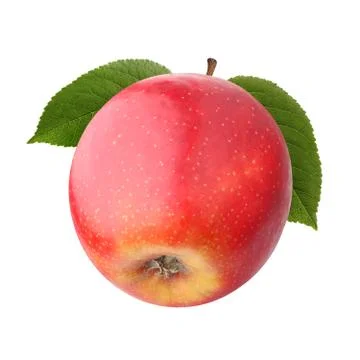 Apple one Stock Photos