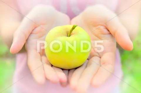 Apple in open hands Stock Photos