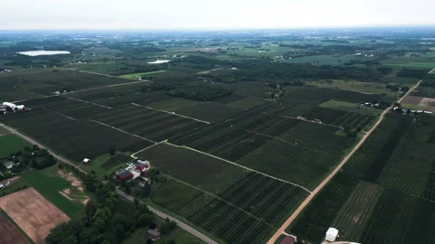 Apple Orchard Aerial Stock Footage 307965411