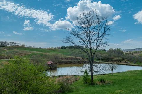 Apple orchard in early spring Foto stock