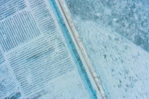 Apple orchard rows covered in snow near road in winter aerial top view Stock Photos