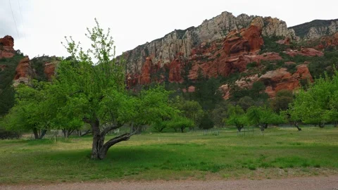 Apple Orchard at Slide Rock State Park Stock Footage 276239761