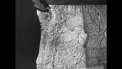 Apple orchards in Washington, picking fruit, milking a cow, harvesting wheat, Stock Footage 84725956