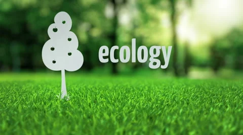 Apple paper tree grows ecology concept Stock Footage 49193592