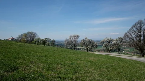 Apple an pear trees in blossom in the austrian district mostviertel Stock Footage 128232059
