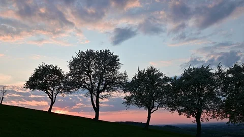 Apple an pear trees in blossom in the austrian district mostviertel Stock Footage 128353731