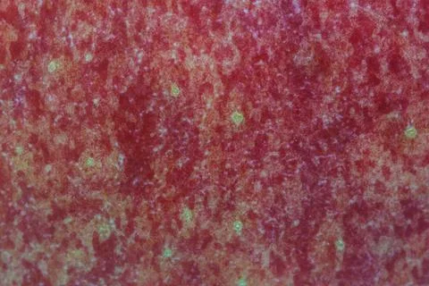 Apple peel background Stock Photos