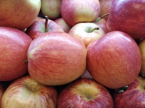 Apple Foto stock