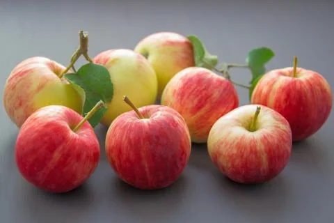 Apple Picked From Trees Stock Photos