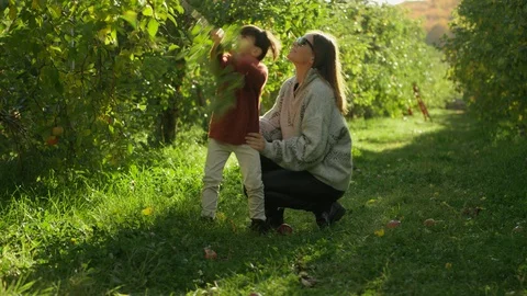Apple Picking, Boy and mom Pick An Apple Off An Apple Tree Vídeos de archivo 129472295