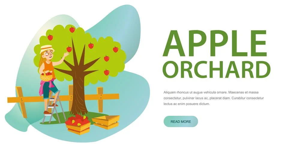 Apple picking horizontal banner Stock Illustration