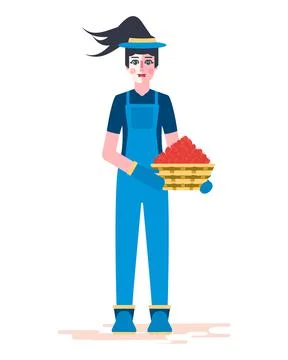 Apple picking. Illustration. Stock Illustration