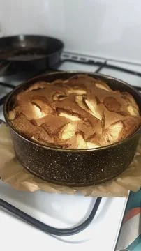 Apple pie baked in a baking dish Stock Photos